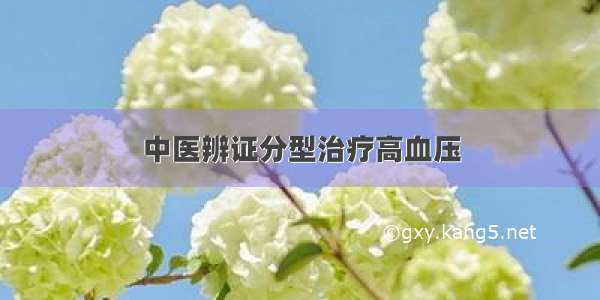 中医辨证分型治疗高血压