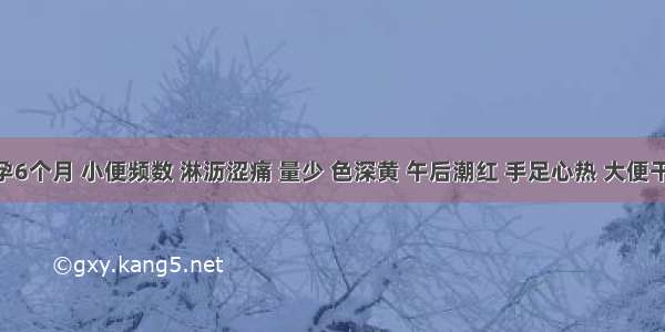 患者孕6个月 小便频数 淋沥涩痛 量少 色深黄 午后潮红 手足心热 大便干结 舌