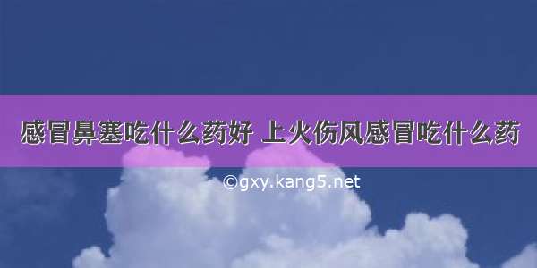 感冒鼻塞吃什么药好 上火伤风感冒吃什么药