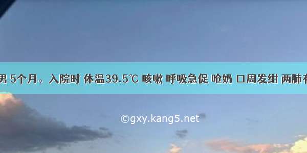 患儿 男 5个月。入院时 体温39.5℃ 咳嗽 呼吸急促 呛奶 口周发绀 两肺有固定