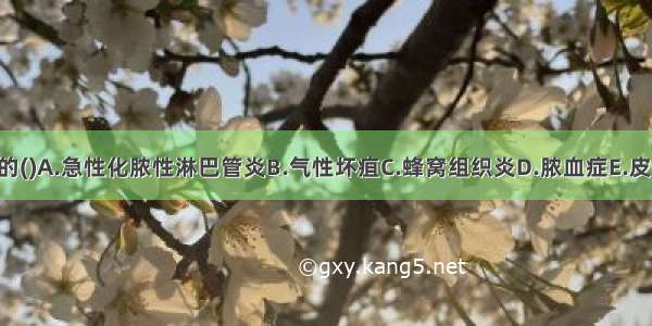 发相当于西医的()A.急性化脓性淋巴管炎B.气性坏疽C.蜂窝组织炎D.脓血症E.皮肤炭疽ABCDE