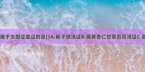 下列各项 不属于太阳证变证的是()A.栀子豉汤证B.麻黄杏仁甘草石膏汤证C.葛根黄芩黄连