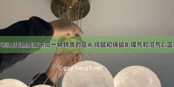 单选题下列各组物质属于同一种物质的是A.纯碱和烧碱B.煤气和沼气C.蓝矾和胆矾