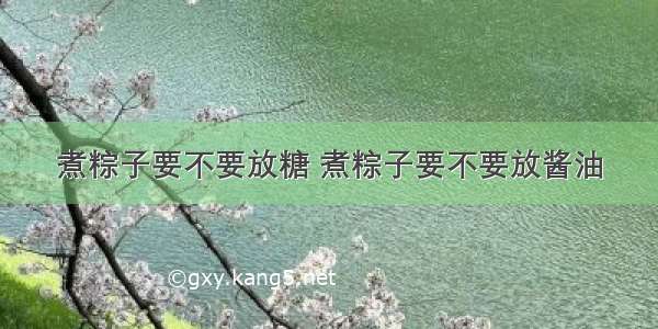 煮粽子要不要放糖 煮粽子要不要放酱油