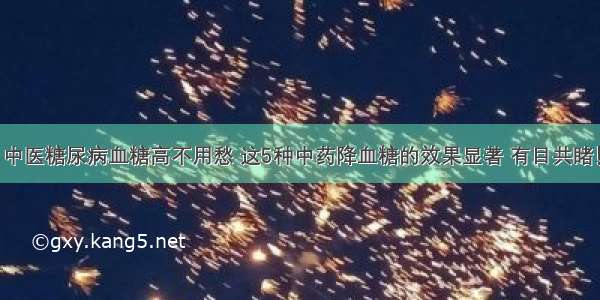 中医糖尿病血糖高不用愁 这5种中药降血糖的效果显著 有目共睹！