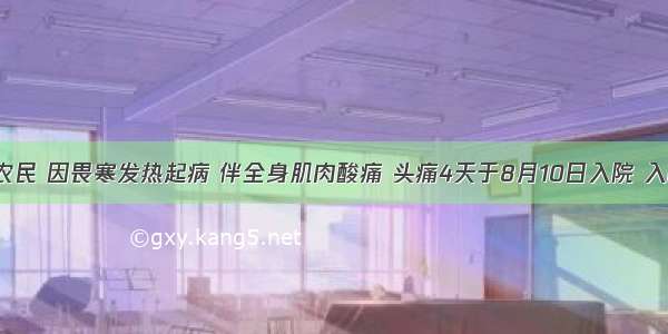 24岁男性农民 因畏寒发热起病 伴全身肌肉酸痛 头痛4天于8月10日入院 入院1天后发