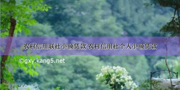 农村信用联社小额贷款 农村信用社个人小额贷款