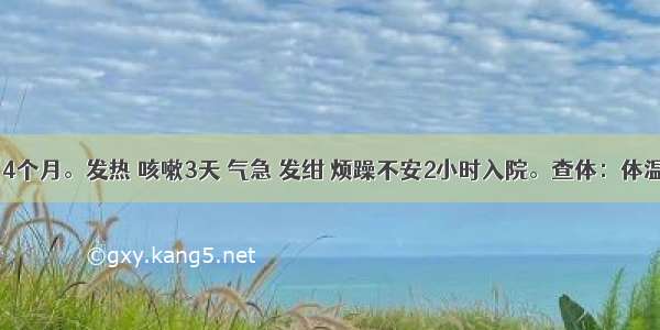 患儿男 14个月。发热 咳嗽3天 气急 发绀 烦躁不安2小时入院。查体：体温39.5℃ 