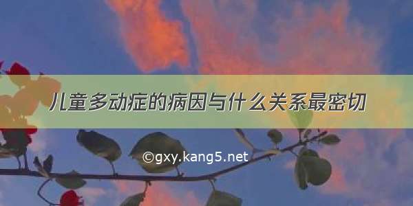 儿童多动症的病因与什么关系最密切