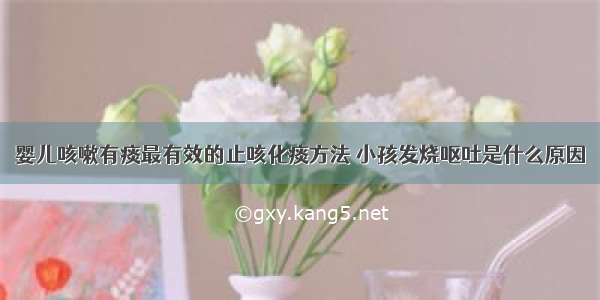 婴儿咳嗽有痰最有效的止咳化痰方法 小孩发烧呕吐是什么原因