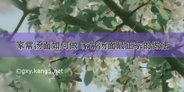 家常汤面如何做 家常汤面最正宗的做法