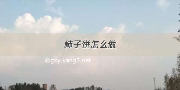 柿子饼怎么做