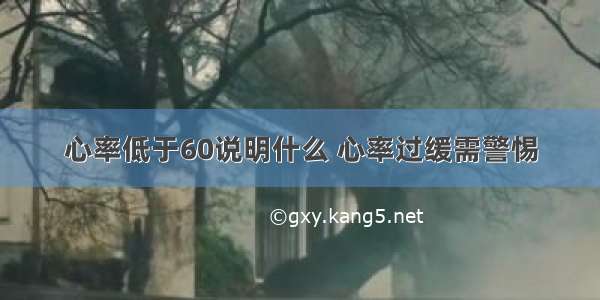 心率低于60说明什么 心率过缓需警惕