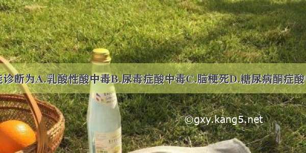 该患者最可能诊断为A.乳酸性酸中毒B.尿毒症酸中毒C.脑梗死D.糖尿病酮症酸中毒E.糖尿病