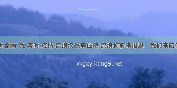 刷新 翻看 我 实时 疫情 流浪汉生病住院 流浪狗前来报恩：我们来陪你啦