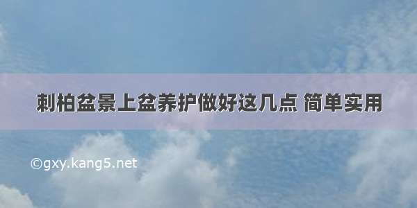 刺柏盆景上盆养护做好这几点 简单实用