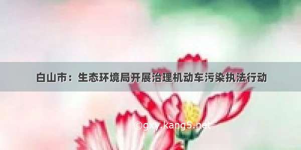 白山市：生态环境局开展治理机动车污染执法行动