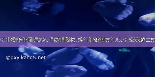 下列变化属于化学变化的是AA. 白磷自燃B. 空气液化制氧气C. 干冰变成二氧化碳气体D