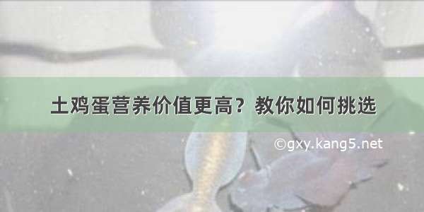 土鸡蛋营养价值更高？教你如何挑选