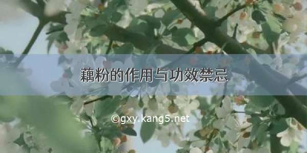 藕粉的作用与功效禁忌