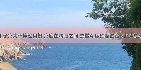 停经3个月 子宫大于停经月份 宫底在脐耻之间 需做A.尿妊娠试验B.超声检查C.超声多