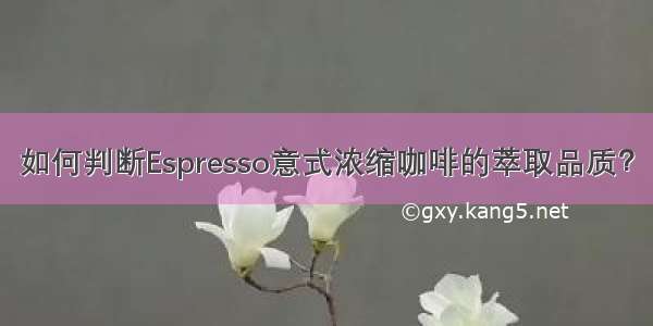 如何判断Espresso意式浓缩咖啡的萃取品质？