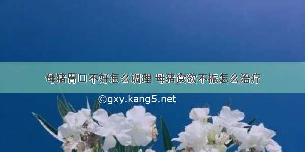 母猪胃口不好怎么调理 母猪食欲不振怎么治疗