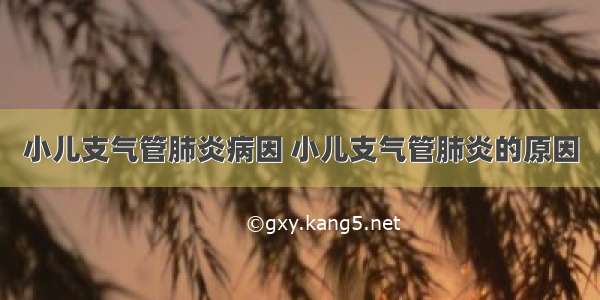 小儿支气管肺炎病因 小儿支气管肺炎的原因