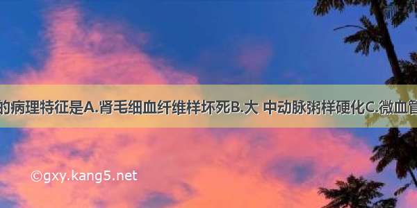 恶性高血压的病理特征是A.肾毛细血纤维样坏死B.大 中动脉粥样硬化C.微血管炎D.肾脏纤