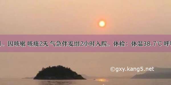 患儿 4个月。因咳嗽 咳痰2天 气急伴发绀2小时入院。体检：体温38.7℃ 呼吸80次/分