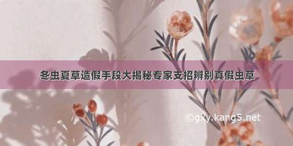 冬虫夏草造假手段大揭秘专家支招辨别真假虫草