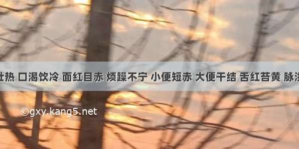 证见壮热 口渴饮冷 面红目赤 烦躁不宁 小便短赤 大便干结 舌红苔黄 脉洪数 属