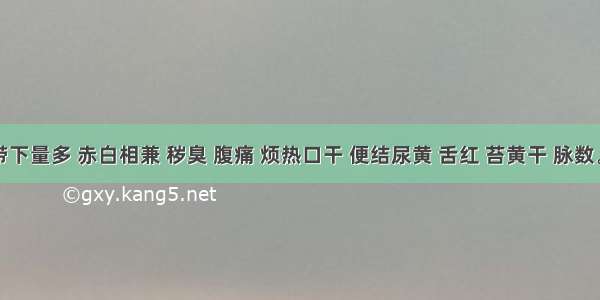 患者带下量多 赤白相兼 秽臭 腹痛 烦热口干 便结尿黄 舌红 苔黄干 脉数。治疗