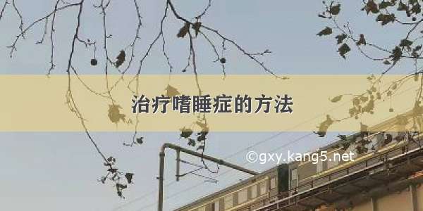 治疗嗜睡症的方法