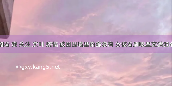 刷新 翻看 我 关注 实时 疫情 被困围墙里的流浪狗 女孩看到眼里充满泪水 带回