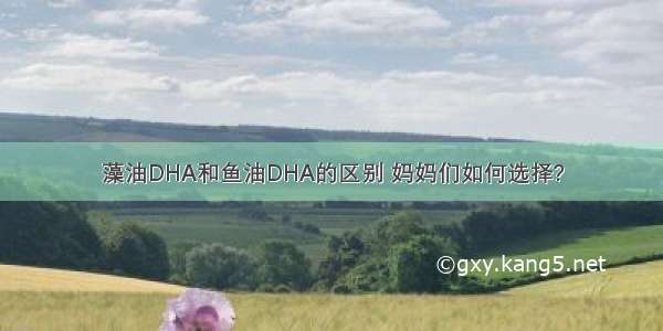 藻油DHA和鱼油DHA的区别 妈妈们如何选择?