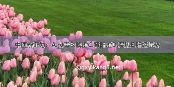 中医辨证为：A.热毒B.脾虚C.肾阳虚D.湿热E.肝经湿热