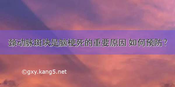 颈动脉斑块是脑梗死的重要原因 如何预防？