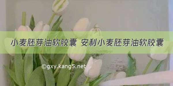 小麦胚芽油软胶囊 安利小麦胚芽油软胶囊