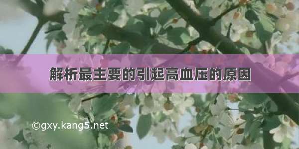 解析最主要的引起高血压的原因