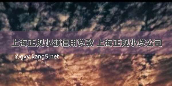 上海正规小额信用贷款 上海正规小贷公司