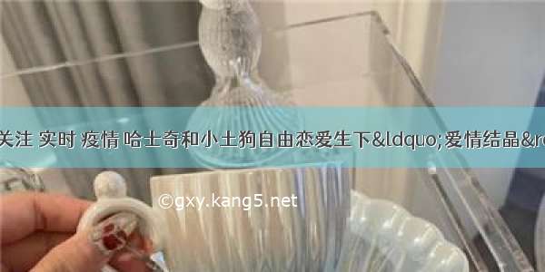 刷新 翻看 我 关注 实时 疫情 哈士奇和小土狗自由恋爱生下“爱情结晶” 最后小