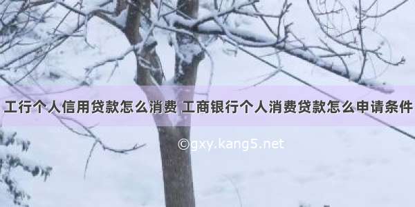 工行个人信用贷款怎么消费 工商银行个人消费贷款怎么申请条件