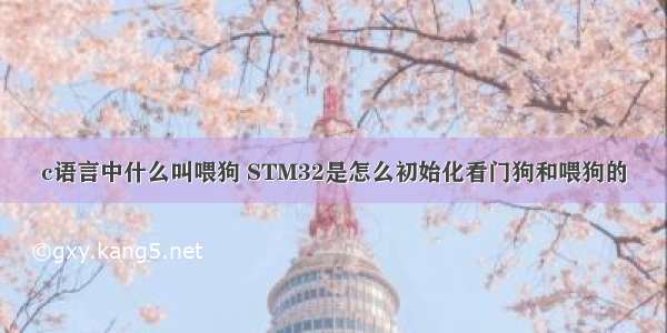 c语言中什么叫喂狗 STM32是怎么初始化看门狗和喂狗的