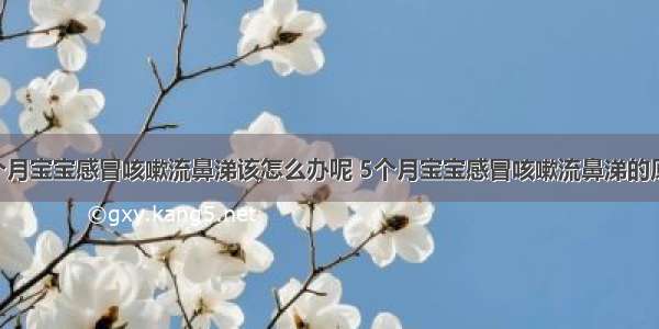 5个月宝宝感冒咳嗽流鼻涕该怎么办呢 5个月宝宝感冒咳嗽流鼻涕的原因