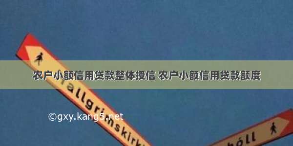 农户小额信用贷款整体授信 农户小额信用贷款额度