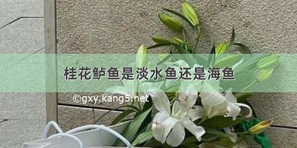 桂花鲈鱼是淡水鱼还是海鱼