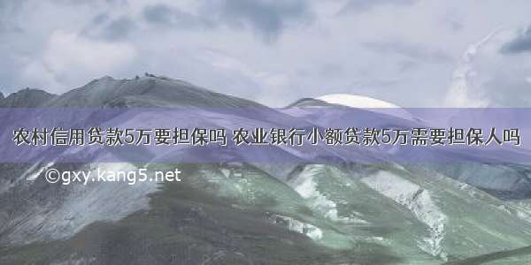 农村信用贷款5万要担保吗 农业银行小额贷款5万需要担保人吗