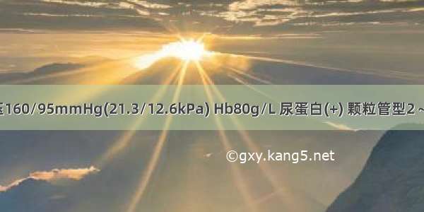 男性 28岁。查体：血压160/95mmHg(21.3/12.6kPa) Hb80g/L 尿蛋白(+) 颗粒管型2～3/HP BUN10mmol/L