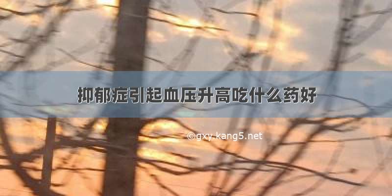 抑郁症引起血压升高吃什么药好